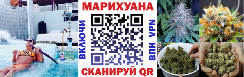 Шишки марихуана марихуана  Шенкурск 